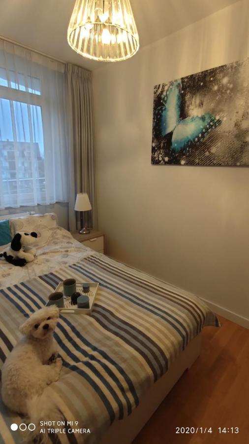 Appartamento Fregata Jastrzębia Góra Esterno foto