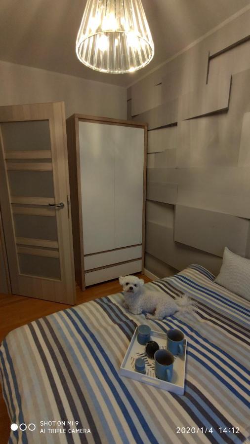 Appartamento Fregata Jastrzębia Góra Esterno foto